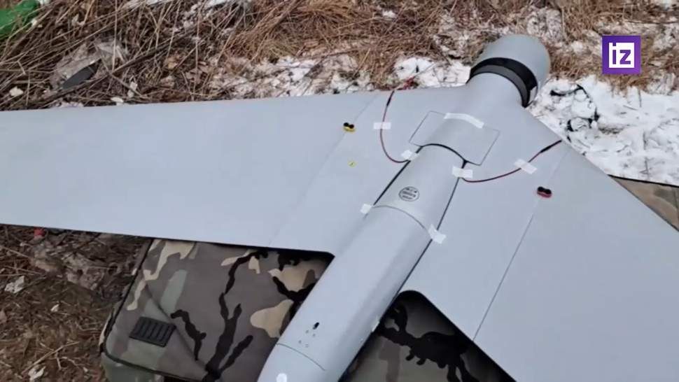 ������ ���� Zala ������������ ���������� ��� ����� ��� � ��� �� ����������