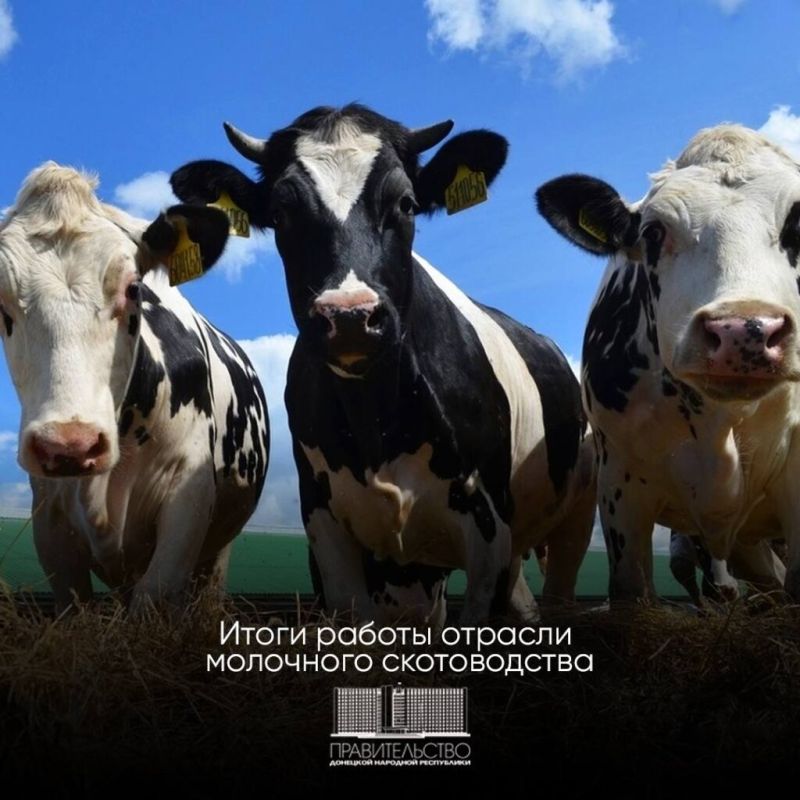 ����� ����������: ���������� ��������� ���������� ��������� �� ����������� ������� ������������ ������ ������