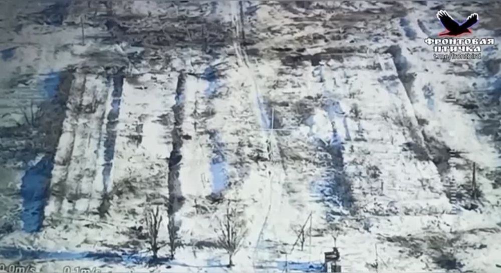 Попытка укрепления позиций ВСУ для дальнейших штурмовых накатов