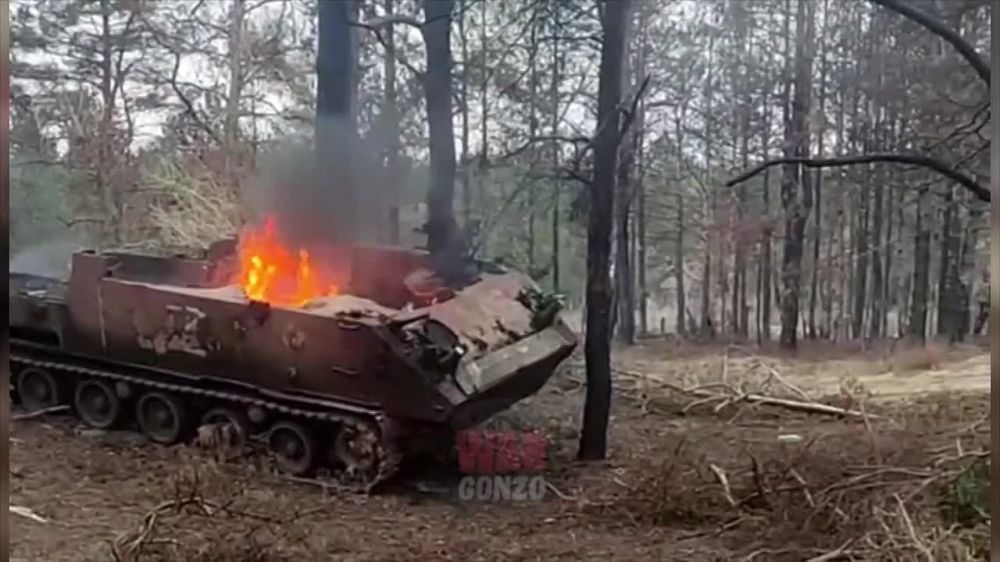WarGonzo: ��� ���������� ������������� ������-��������� �� ����� ������