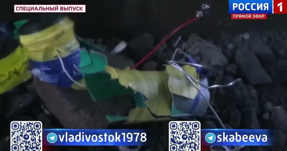 ������� ����� �������: ��� ������
