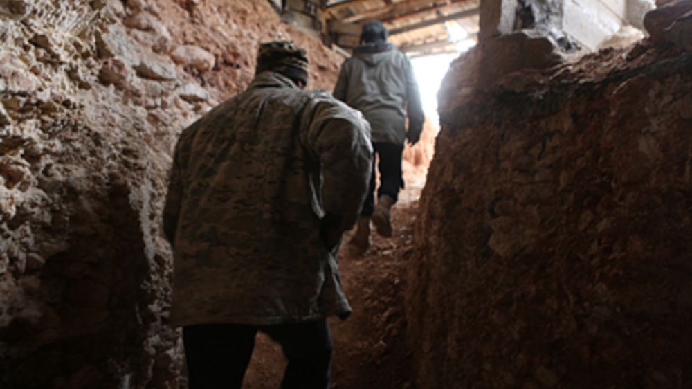 ���������� � �������� - ��������� ����������� ������������ �������� �������� ������������