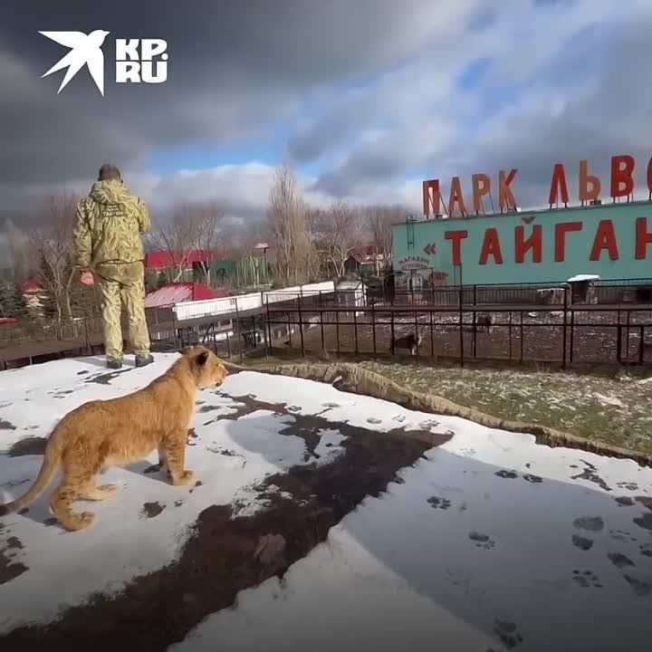 "��� ����� �� ���� ���": ��������� ������� ������� ����������� �� ��������� ����������