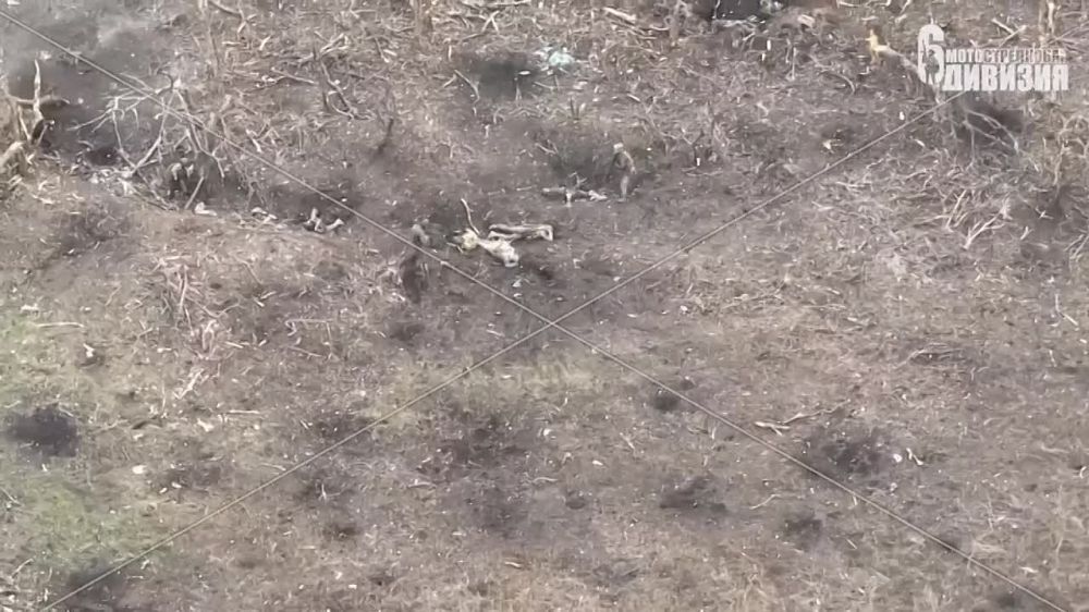 ������ �� ������. 6 ��� ����� ���������� ������� ��� ���������� � ��������� ������� �� ���� ���������, ���-�� ��������� �� ����� � ���� ������� ������� � �������, � �������� � �� ������ ������