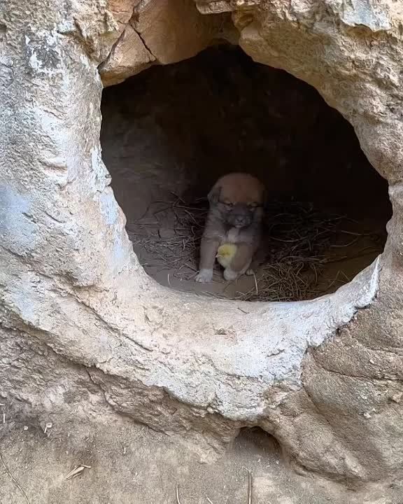 � ������ �����, ���������!