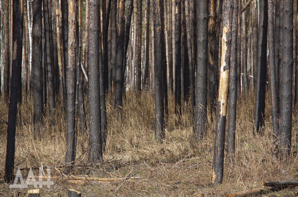 ��� ��� ������ ����� �� ������� �������� ����� 2000 �� ������������� ��������