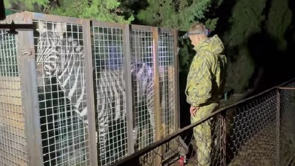 ����� ����� ������� � ����: � �������� ������� ��� ���� ������ �������� �� ���������