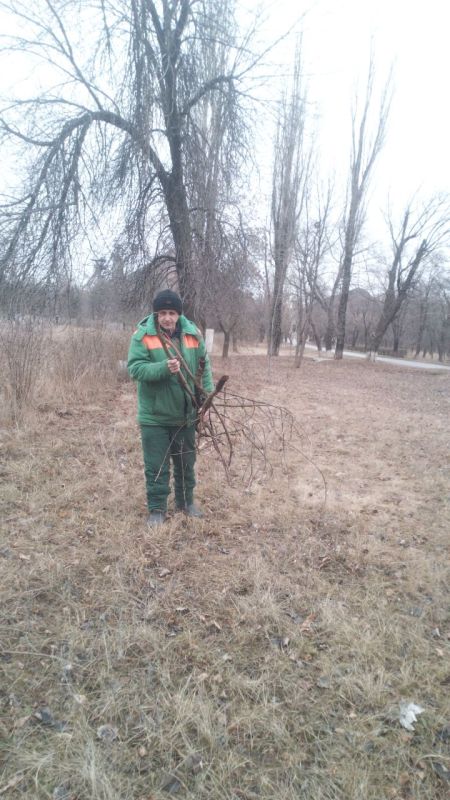 ���� �����������: ������ ������������ ����������� ���� ��������� ������ �� ��������� ������� � ������� �� ���������� �. �������: