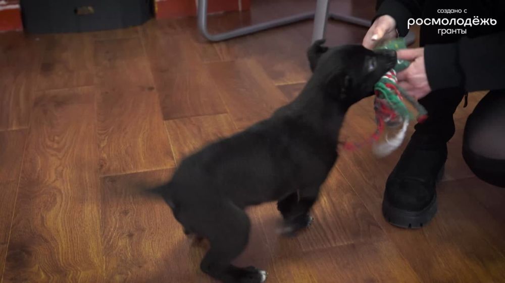 Истории, которые тронут каждого