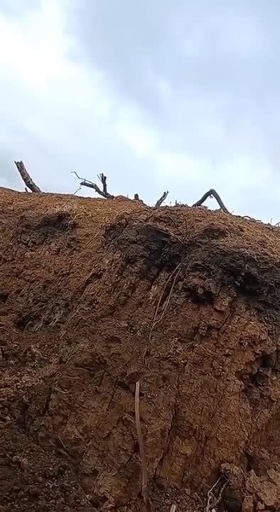 ������ �������: ��� ��������� ���� ������������ ��������� ������� ������