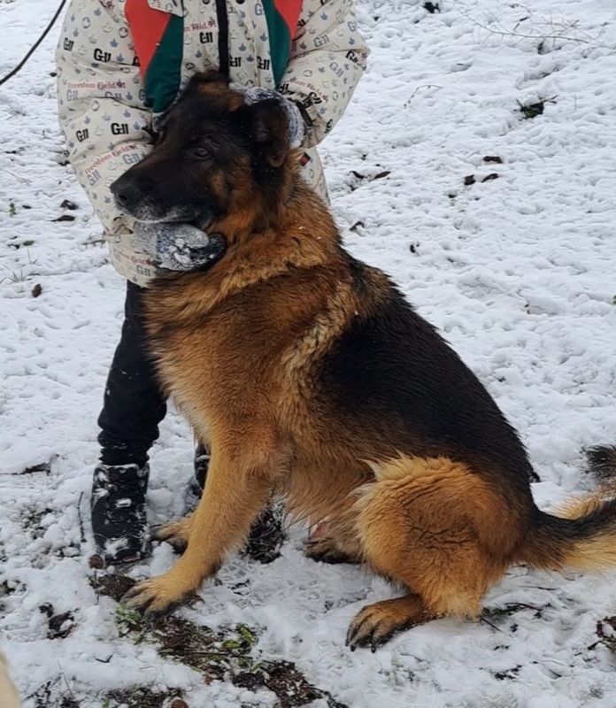 ������ (25.12 �� ��������) ������ �����, ������ �����