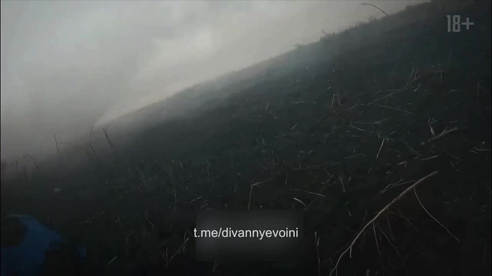 ������� �����: ��������� ������� ��������� ������� � ���������� �� ���������� ������� � ��������