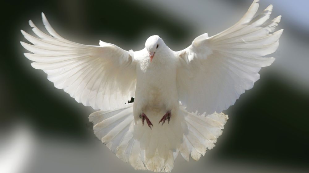 ������ ����������� ����� ������ ��������� ������: ������ ����? ����� ��������