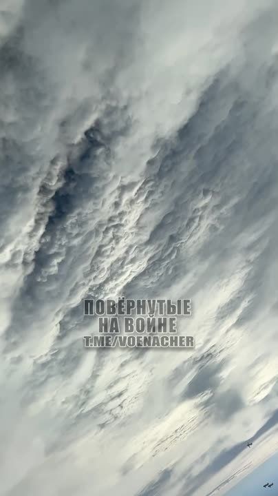 ������ ����������: ����� ����� ��� ������ ��� �� �� ��������, ���� ������ ��� �� ����� ��������� ��� 50 �����