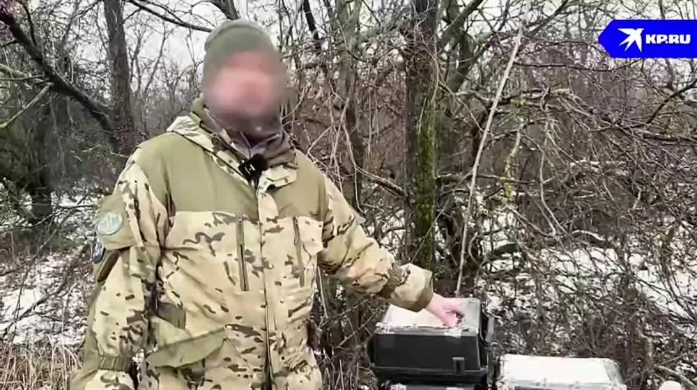 ��������� ���: ������� ���� � �������� �����