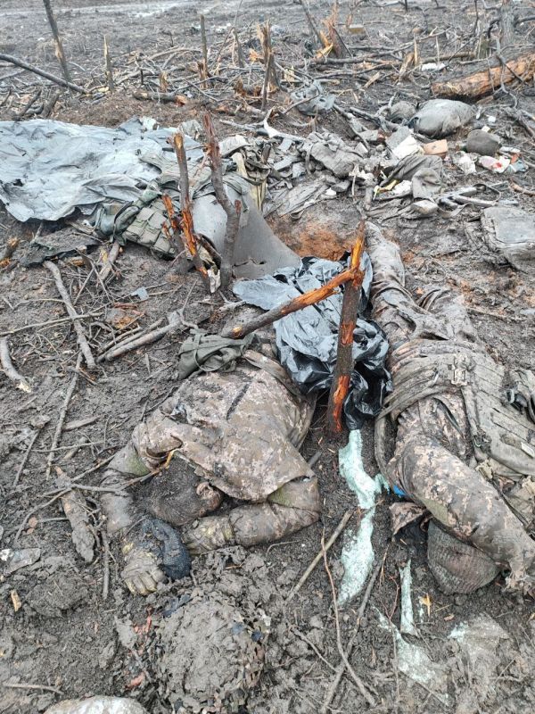 ��������� �������: ���������� �������� �� ����� ������ ���������� ����� � ��������� ������ �� ���� ����������� �������� ��� ������� �� ����� �����, ���������� �� �����������������, ����� ������� ������