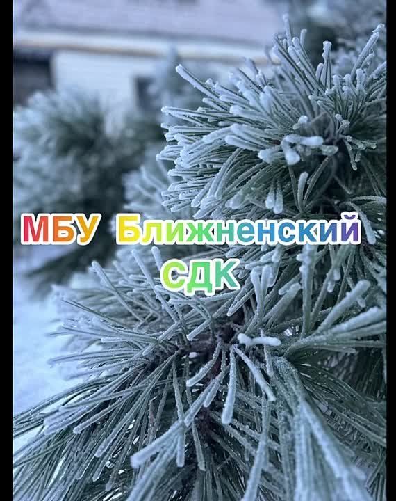 09.02.2024 � ��� ������������ ��ʻ ������ ����������� ����������� �������� - ������� ���� �� ���������� ��� ����������� ���������