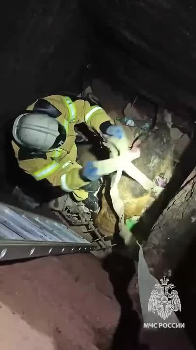 ��� ��������� ����� ������ ���������� ��� ������ � ������� � �������