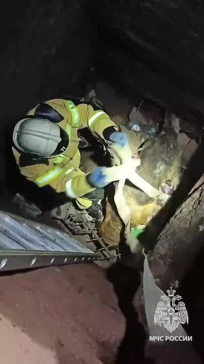 ��� ��������� ����� ������ ���������� ��� ������ � �������� �������� ����������