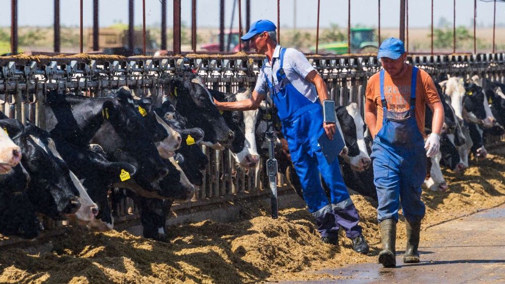 �������� � ������������ ����� �������� �������� ��������� ��������� � ��������������