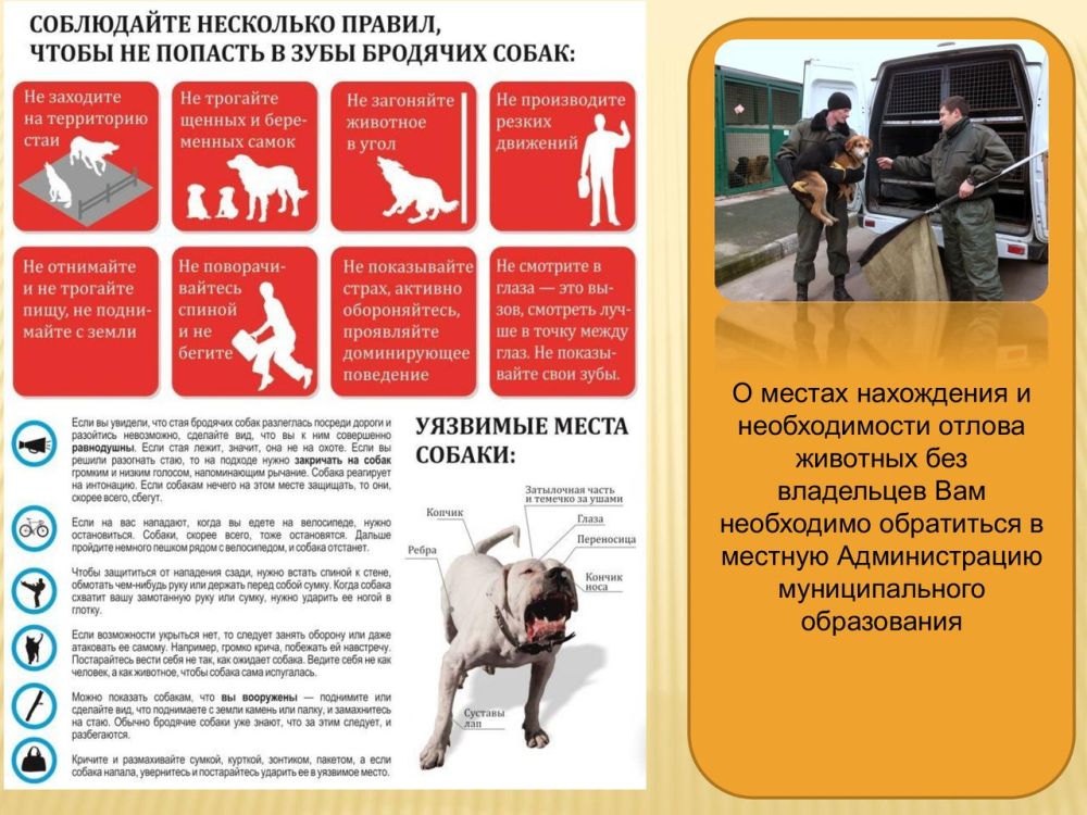 ������� �������: ��������� �������!. ������� �� ������ ��������, ��� ������ �� ������ � ������������ ������������ ��������...