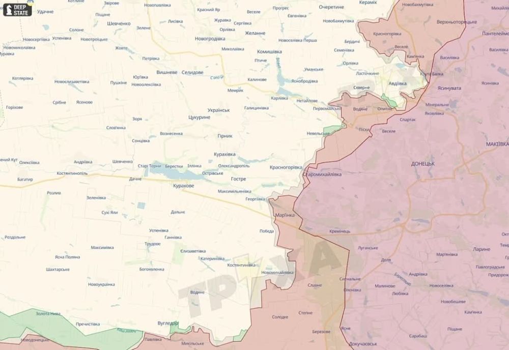 ���� ��������: ��������� ������. ���� ��� ������� ����� �� ������ ������� ������ 2024 ����