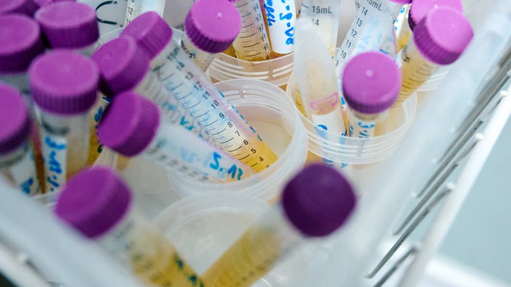 ����������� ������� ��� �����: �������� ����������� �� ��������� ���������