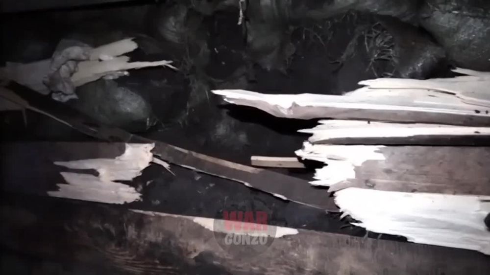 WarGonzo: ������������ ������ ����� �� ������ ������