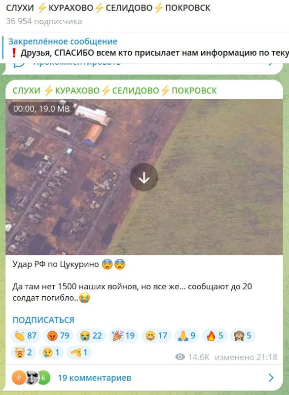 ���� ��������: �������� - ���� �������� ��������� �����������