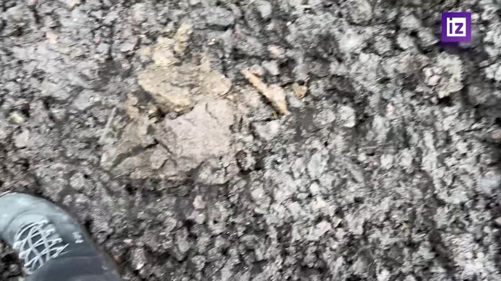 ����� "����" ��������� �� ��������� ��� "�������"