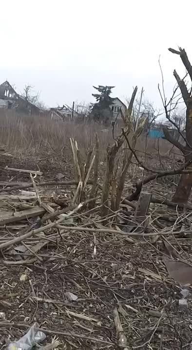 ��������� ���������: �������, ��� ����� �� �����, � �������� �����������