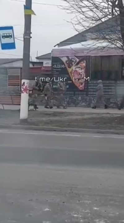 Майя Пирогова: Валентинки по-украински: