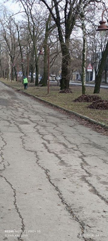 Василий Ткачук: Сегодня сотрудниками МУП АГД "ЗЕЛЕНСТРОЙ КАЛИНИНСКОГО РАЙОНА" начаты работы по наведению должного санитарного порядка на проспекте Ильича