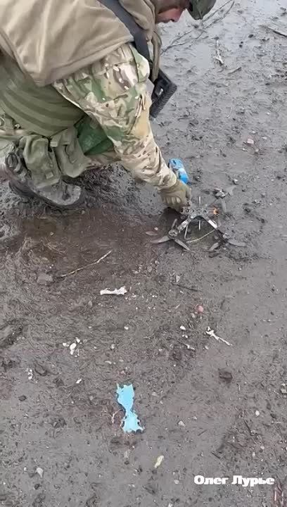 �� ���������� ����������� ���� ����� ���������� ��������� ����