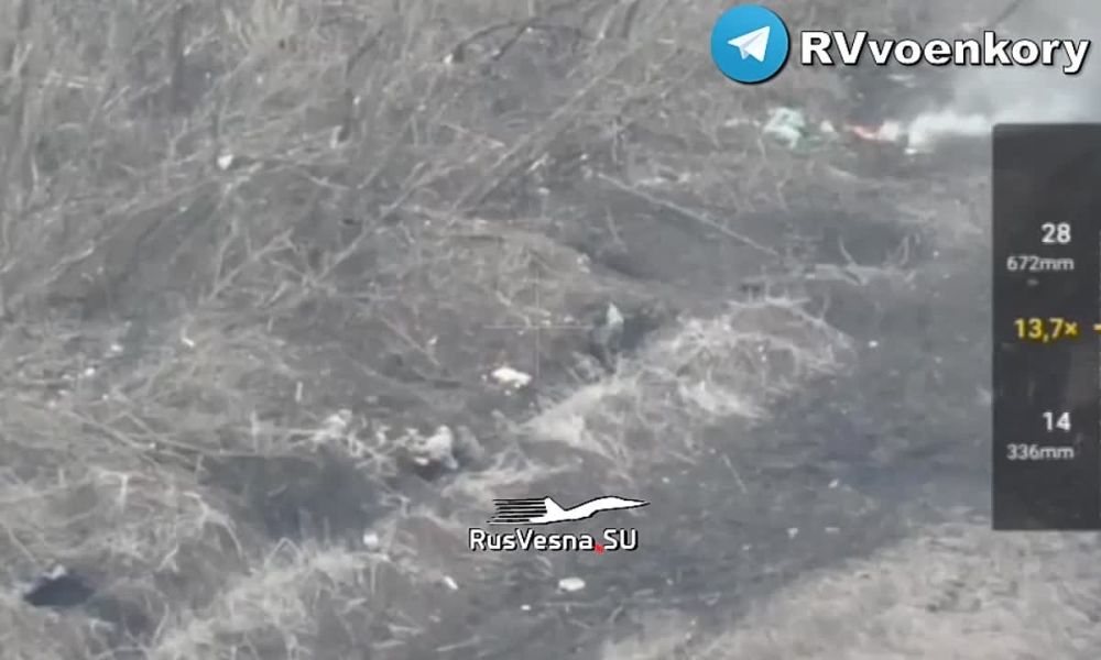 Атака у Победы: «Тигры» размотали пехоту ВСУ и обратили врага в бегство