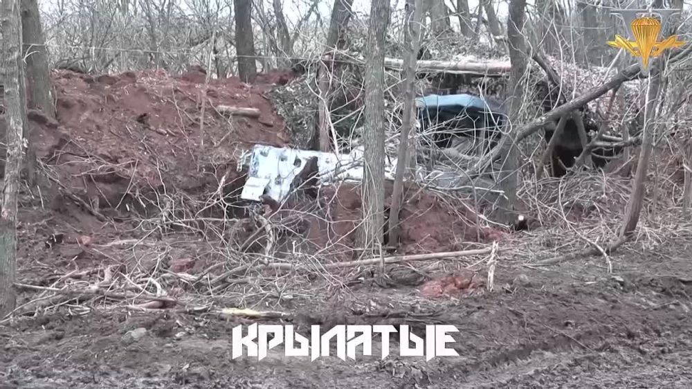 ����� �����: ����������� ����������� ����������� ���������� ������ ������ ��� � ������� ������ ����� ���������