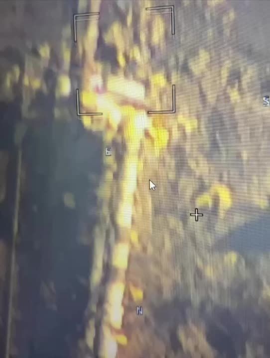 ������� ���������: ������ ��� ������� ������ ����� �� ��������, ������� ������� ���������� � ��������