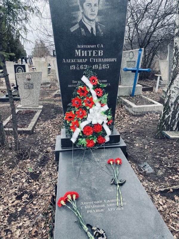 15 ������� ���������� ���� ������ ����� �� �����������