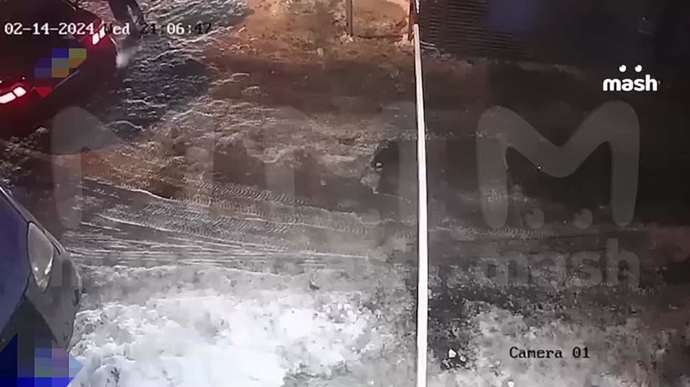 �������� �������� � ������ ������, ��������������, ����� ��� � �������� ������ ����� ��������� ����� ��� ������ ���������