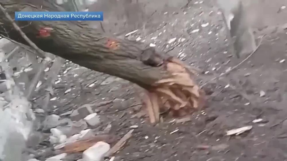 ����� �����: ���������� "���������" ������������ � �������� �� ����� �������������