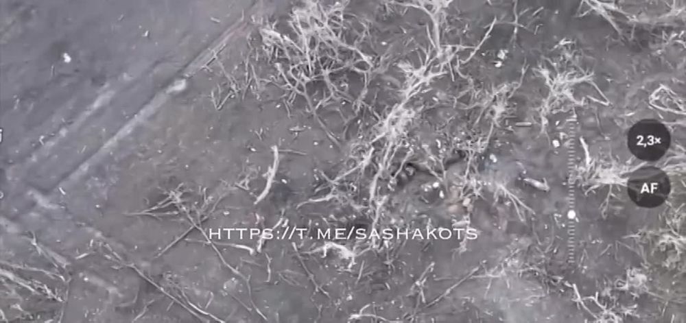 ��������� ���: ���������� �������� ��� ����������