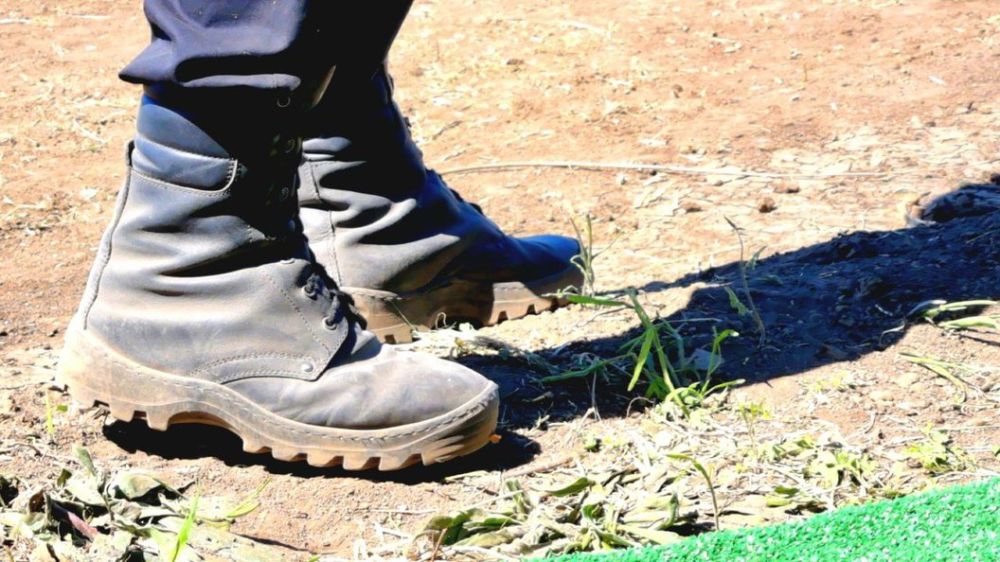 WP: ���������� ������� ������ �������� ��������� �� �������� � ���