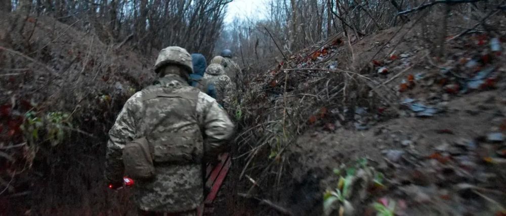 ������� ��� ������ �� ����������� � ����������� � ��������