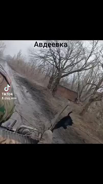 ������ �������: ����� �� �������� ��������� ������ �������� �� ������ ����������� ������ � ���� 3-� ��������� �������