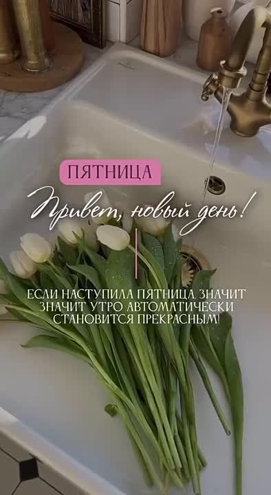������ ����!. ���� �������� ���! ����������� ���� �������������