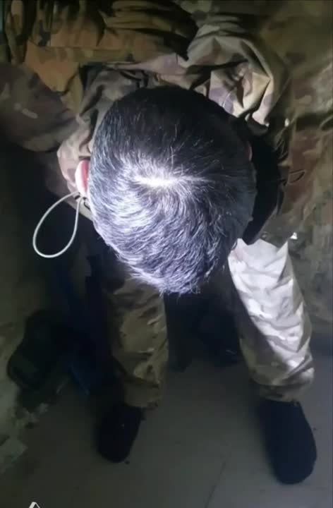 ��������� �������: � �������� ����� � ���� ��������� ���� 3-� ��������� ��������� ������� ����