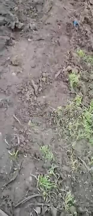 ������ �������: ������� � ��������� ������� �������� ������� �� ��������