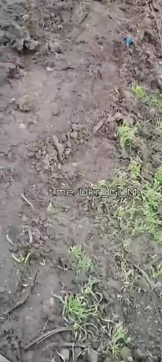 ��� ������: ���������� �����������. ��� ��� �������� ���������������� ����������� ���