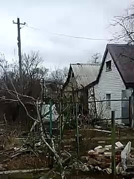 ������ ��������: ��������.. ������. 8 ��� �����