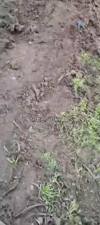 �������� ����� �� ��������